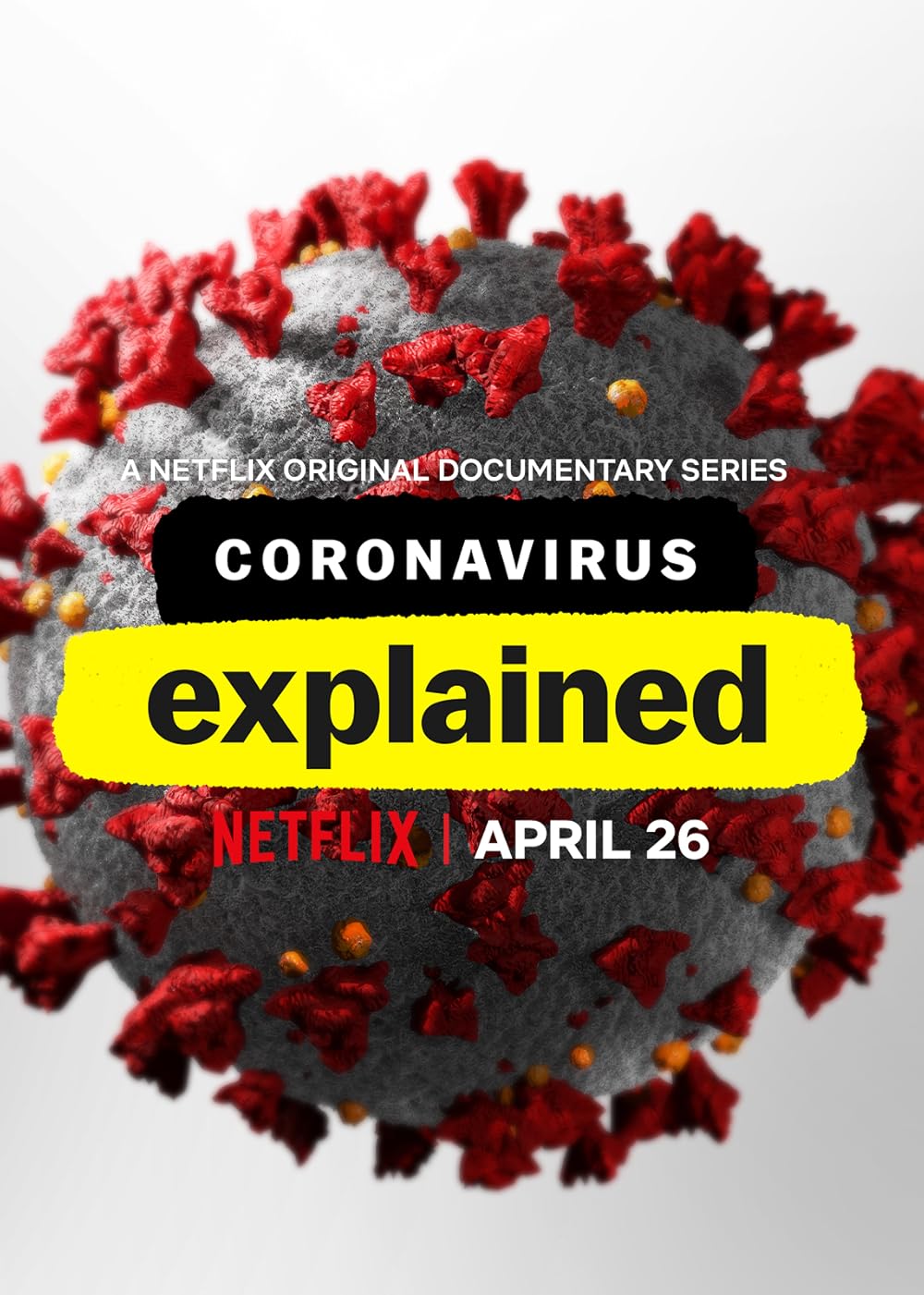 Coronavirus Explained